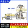 全自動敞口套袋定量包裝機生產廠家